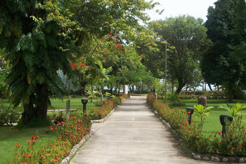 Emotions By Hodelpa Puerto Plata Ξενοδοχείο Εξωτερικό φωτογραφία